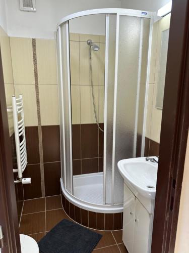 a bathroom with a shower and a sink at Penzion Aladdin in Teplice