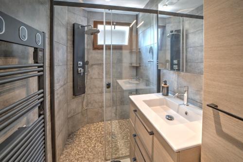 une salle de bain avec un lavabo et une douche dans l'établissement Le Bach - Charmant Appt à 10min de Annecy, à Annecy