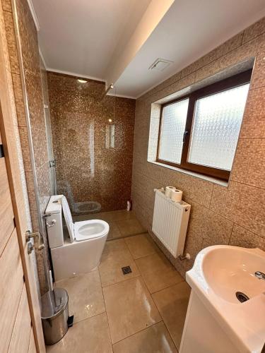 a bathroom with a toilet and a sink at La Casa in Sibiu