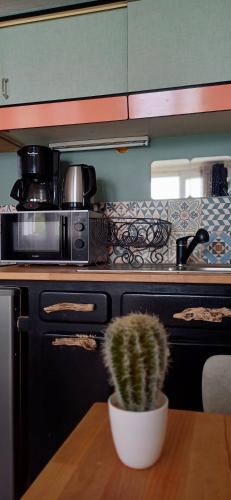 a cactus sitting on a table in front of an oven at COUP DE COEUR Studio in Rivedoux-Plage