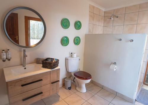 a bathroom with a toilet and a sink and a mirror at Malkoha Lake St Lucia in Hluhluwe