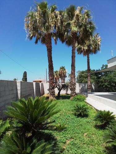 Κήπος έξω από το Casa Vacanze da Vita e Filippo