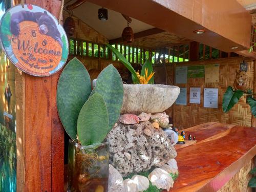 a counter with a vase and some rocks and plants at Hidden Tourist Inn in Mambajao