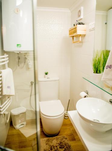 a white bathroom with a toilet and a sink at Orgona Vendégház Golop in Golop