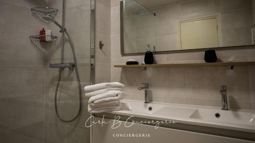 La salle de bains est pourvue d'une douche, d'un lavabo et de serviettes. dans l'établissement BRISE MARINE APPARTEMENT 4 Pers FACE MER CONCARNEAU, à Concarneau