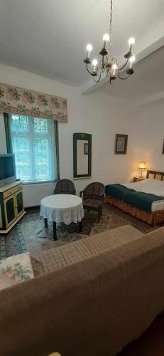 a living room with a bed and a table at Pałac Stanica in Przeworno