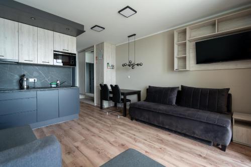 Kuchyň nebo kuchyňský kout v ubytování OW Mewa domki apartamenty nad jeziorem