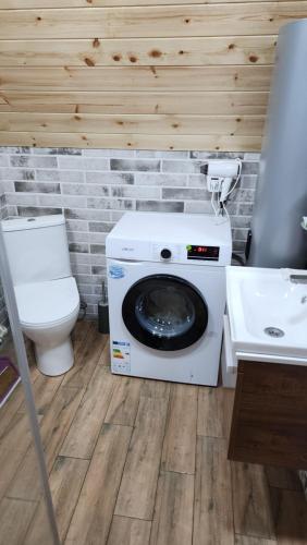 a washer and dryer in a bathroom with a toilet at Ecohouse Machakhela 4 in Machakhela