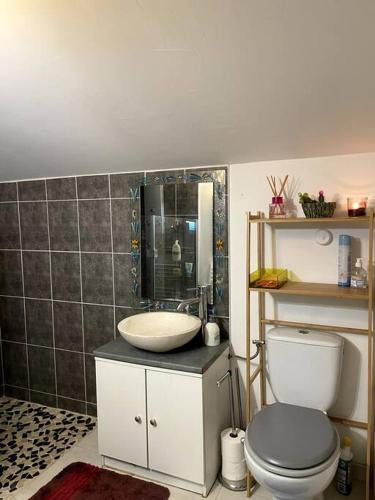 une salle de bain avec toilettes et lavabo dans l'établissement cosy house, à Ambarès-et-Lagrave