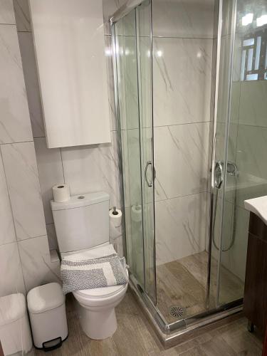 a bathroom with a toilet and a glass shower at Studio Mare in Megalochori