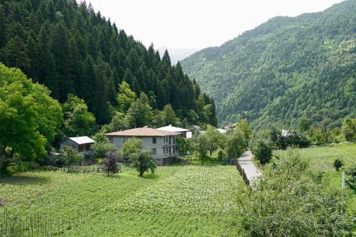 a house in the middle of a field of flowers at Guesthouse Mareti in Shuakhevi