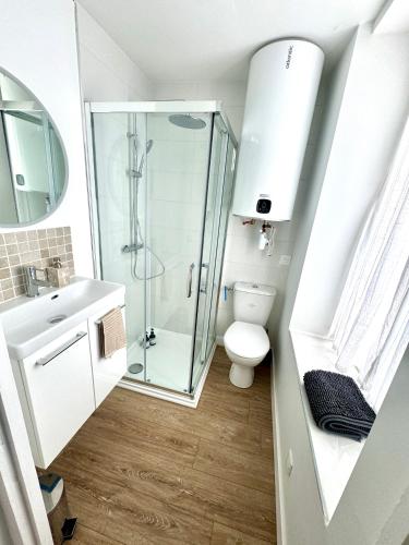 a bathroom with a glass shower and a toilet at Suite Chemin de halage in Châteauneuf-du-Faou