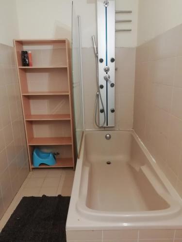 une salle de bain avec baignoire et douche dans l'établissement Appartement face au quai d'honneur, à Calvi