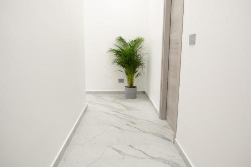 Adelina House photo 27