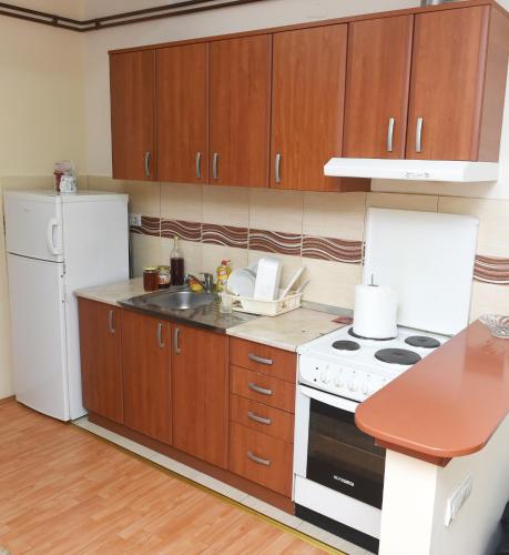 Una cocina o zona de cocina en Apartmani Glavinić