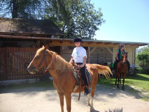 a young girl is sitting on a horse at Biolandhaus Arche in Eberstein