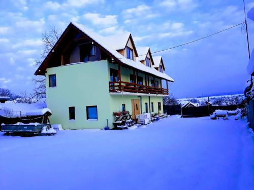 a house with snow on the ground in front of it at PENSIUNEA LEIA Transfăgărășan in Cîrţişoara