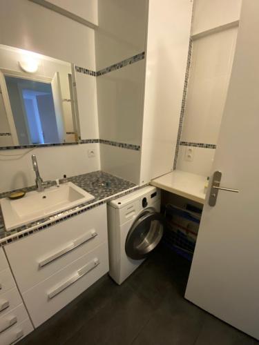une salle de bain avec un lavabo et une machine à laver dans l'établissement Cosy apartment 10min from Paris Gare de Lyon, à Alfortville