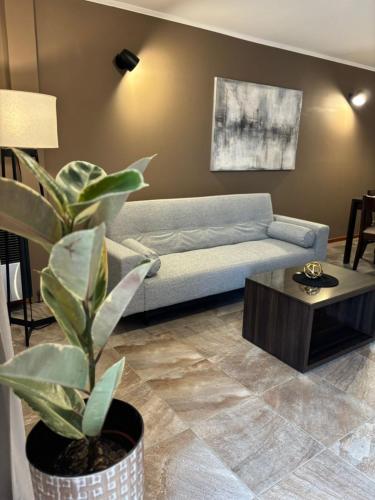 a living room with a couch and a potted plant at The View in Villa General Belgrano