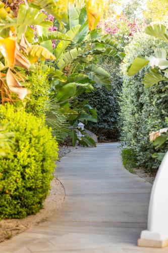 a walkway through a garden with plants and flowers at Hotel Vecchia Marina in Àrbatax