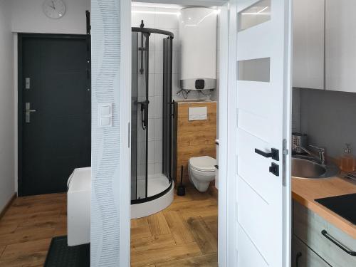 a bathroom with a shower and a toilet at Luna Port w Rowach in Rowy