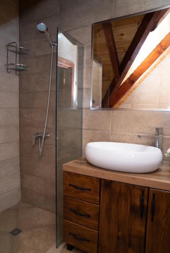 a bathroom with a sink and a shower at Forest Side Gogolati in Ambrolauri