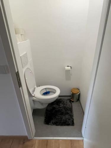a bathroom with a toilet in a small room at RR-Rooms Ferienwohnung in Judenburg