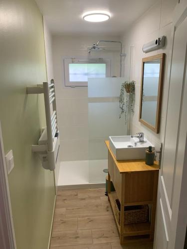 une salle de bain avec un lavabo et un miroir dans l'établissement Appartement proche Aéroport Orly - Ligne 14, à Orly
