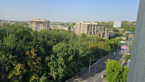 an aerial view of a city with trees and buildings at City Park Apartments in Osh
