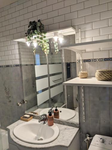 une salle de bain avec deux lavabos et un miroir dans l'établissement Studio Faubourg-Raines, à Dijon