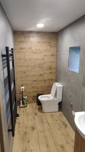 フラブシツェにあるApartmán BASARIJAのトイレと洗面台付きのバスルーム