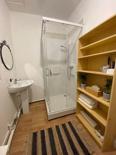une salle de bain avec douche et lavabo dans l'établissement Charmant Studio , plein centre, à Brest