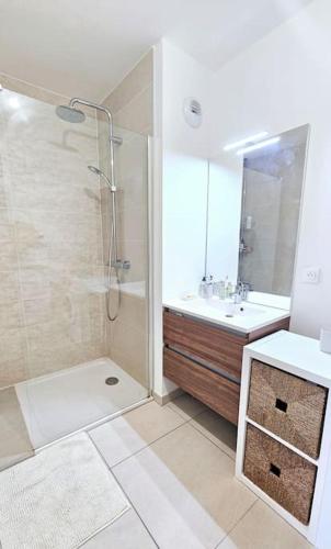 une salle de bain avec douche et lavabo dans l'établissement Charmant 2 pièces avec terrasse à 5 minutes de Paris, à Clichy