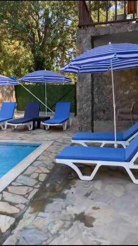 Πισίνα στο ή κοντά στο Villa Plum Garden