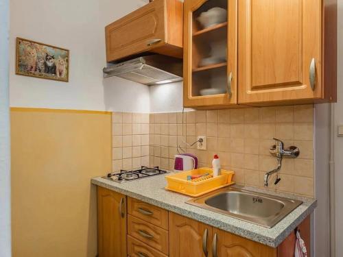 Kuchyň nebo kuchyňský kout v ubytování Vila Strážan