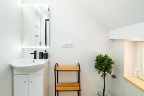 a bathroom with a sink and a mirror and a plant at VacationClub - Staszica 36 Apartament 7 in Karpacz