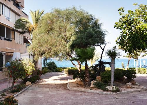 Maison Miramar Cabo Cervera photo 7