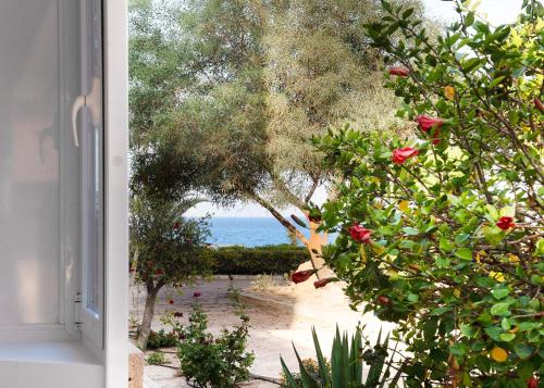 Maison Miramar Cabo Cervera photo 37