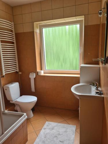 a bathroom with a toilet and a sink and a window at Noclegi Stara Fabryka Jedlina-Zdrój in Jedlina-Zdrój
