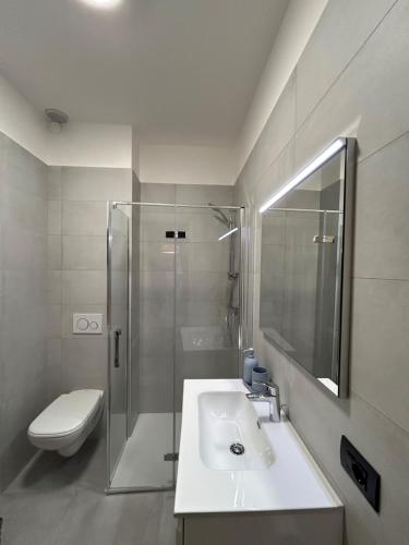 a bathroom with a sink and a shower and a toilet at Casa Dolce Vita in Lenno