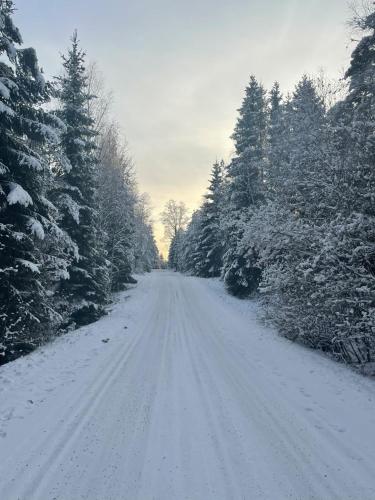 a road covered in snow with trees on it at Gråbogården event and conference center in Gråbo