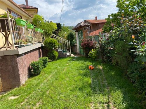 a yard of a house with a pumpkin in the grass at Vileta Auri in Tushemisht