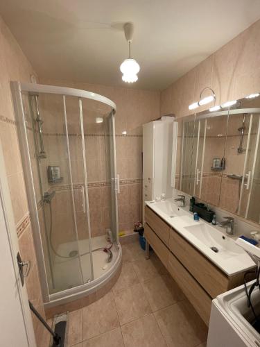 une salle de bain avec une douche, un lavabo et une baignoire dans l'établissement Havre de paix proche Paris, à Cachan