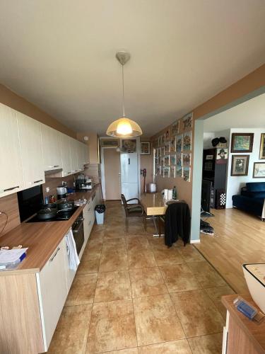 Il comprend une grande cuisine et une salle à manger avec une table. dans l'établissement Havre de paix proche Paris, à Cachan