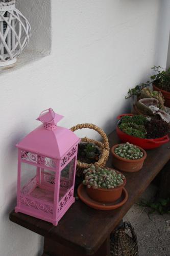a shelf with potted plants and a pink box at Ferienwohnung Birgit in Eisenstadt