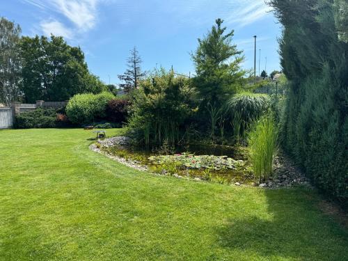 a garden with a pond in the grass at Dům Stašov in Stašov