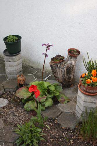 a garden with flowers and potted plants next to a wall at Ferienwohnung Birgit in Eisenstadt