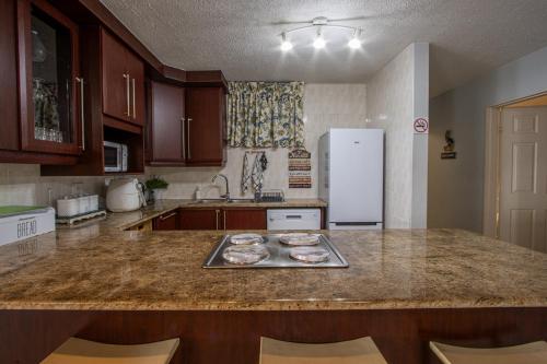 Kuchyň nebo kuchyňský kout v ubytování Boulevard 12