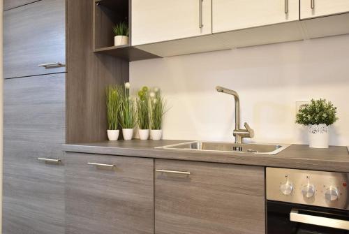 a kitchen with a sink and some potted plants at Cosy new apartment in calm area near merano in Plaus