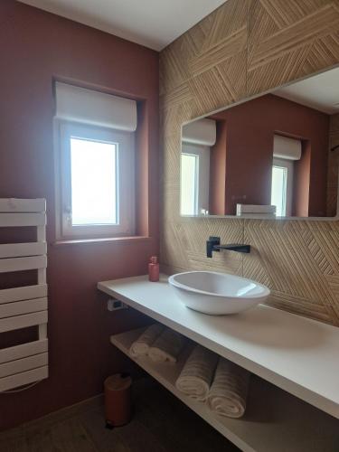 une salle de bain avec un lavabo et un miroir dans l'établissement SPA rêve nature, à Calais